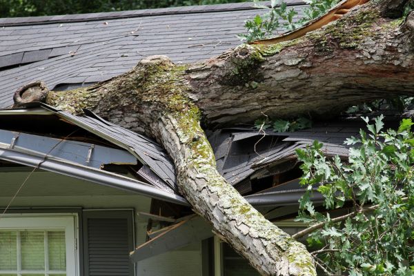 Storm Remediation in Farmington