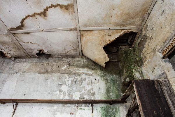 Water Damage Service in Farmington