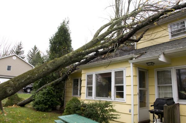 Storm Damage Mitigation in Farmington